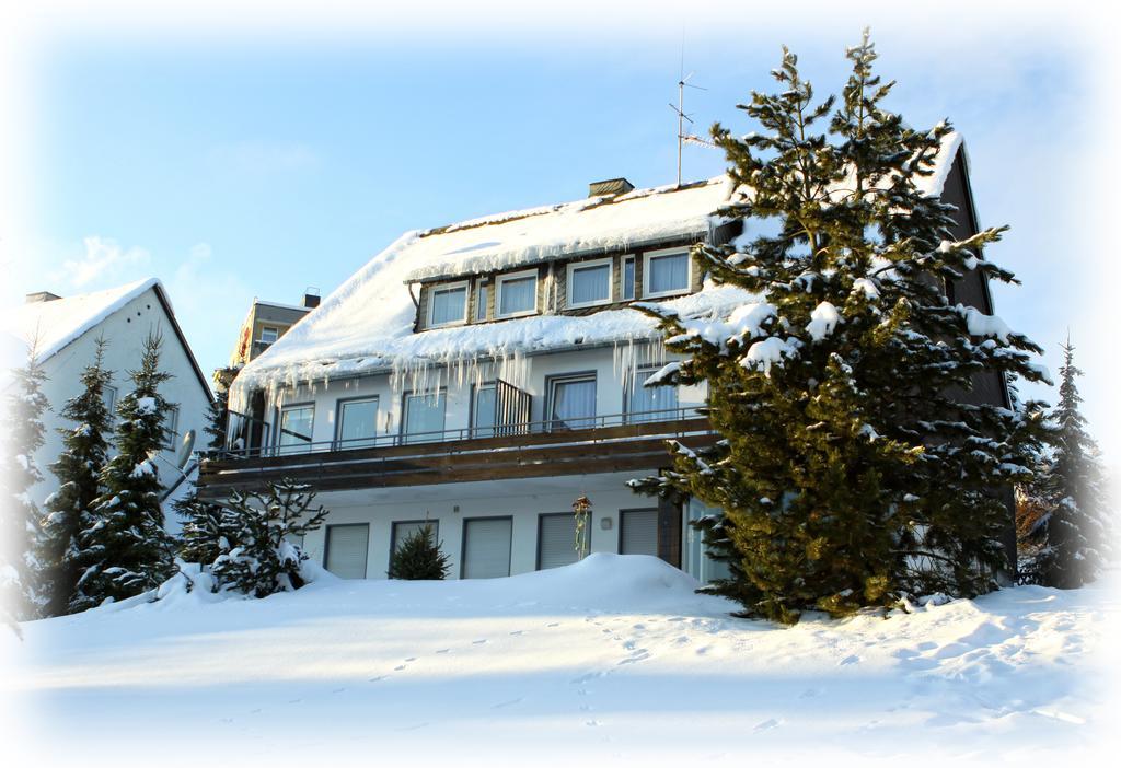 Wietheger'S Gaestehaus Centrum Willingen  Phòng bức ảnh